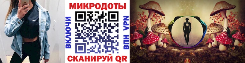Купить  Советск  Галлюциногенные грибы мицелий 